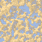 Cellular
Automata